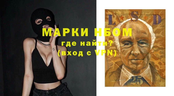 гашик Вязьма