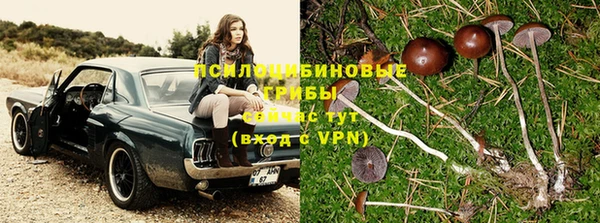герыч Вязники