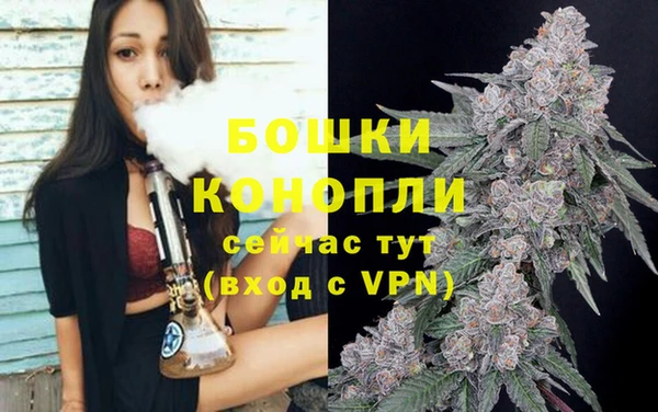 гашик Вязьма
