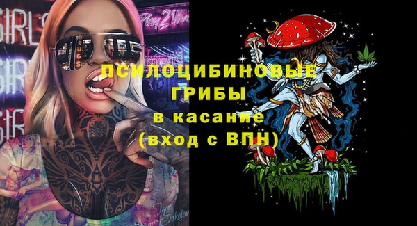гашик Вязьма