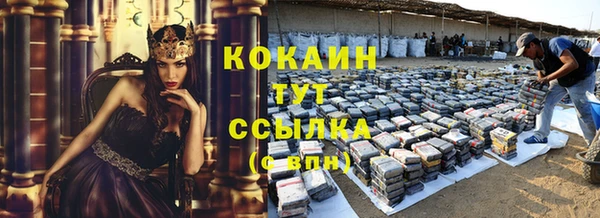 соль ск Вяземский