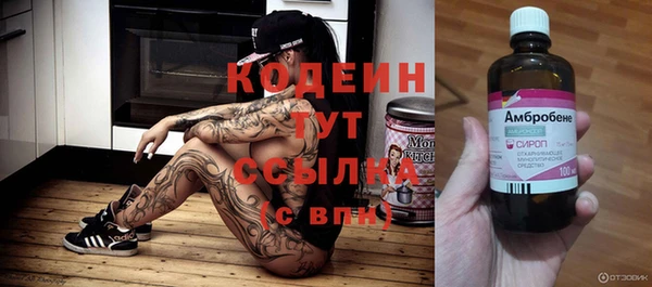 гашик Вязьма