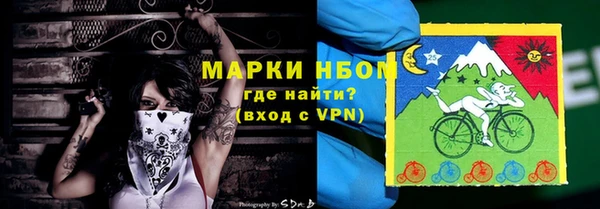 гашик Вязьма