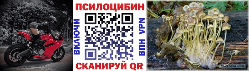 Купить  Усть-Джегута  Псилоцибиновые грибы MAGIC MUSHROOMS 